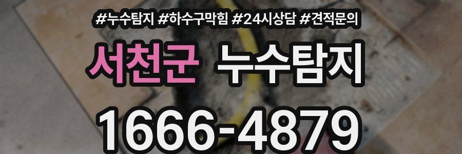 누수탐지