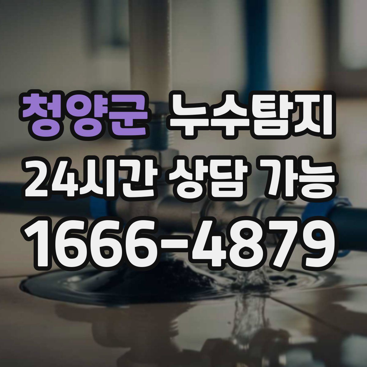 청양군 누수탐지