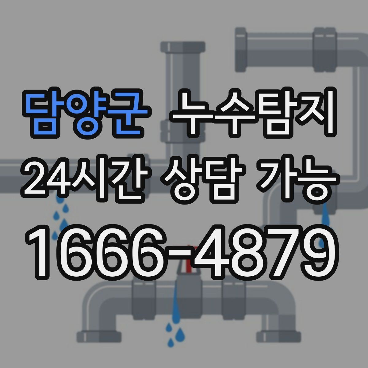 담양군 누수탐지 전문 진단 서비스