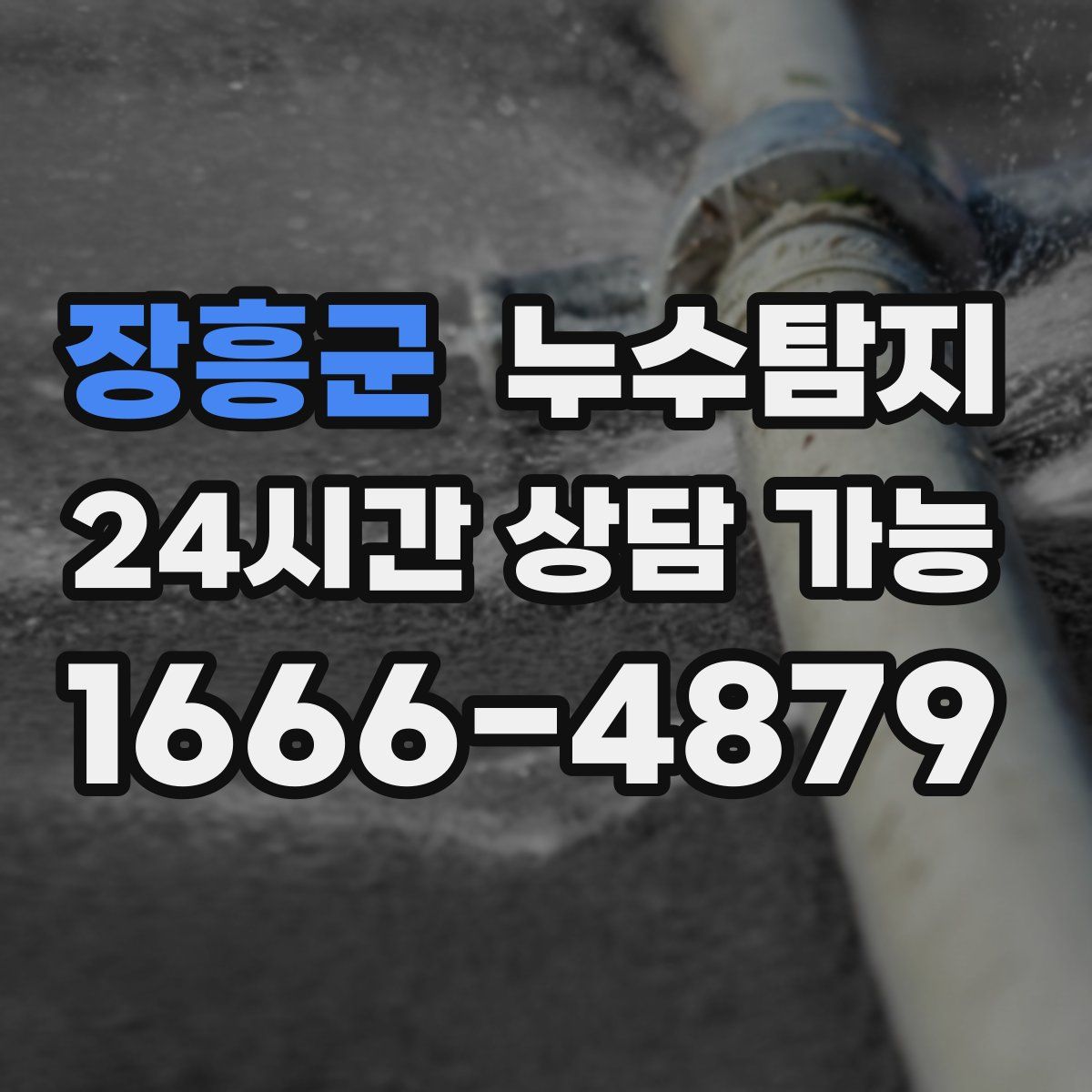 장흥군 누수탐지