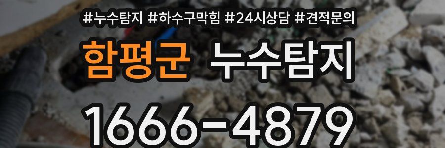 누수탐지