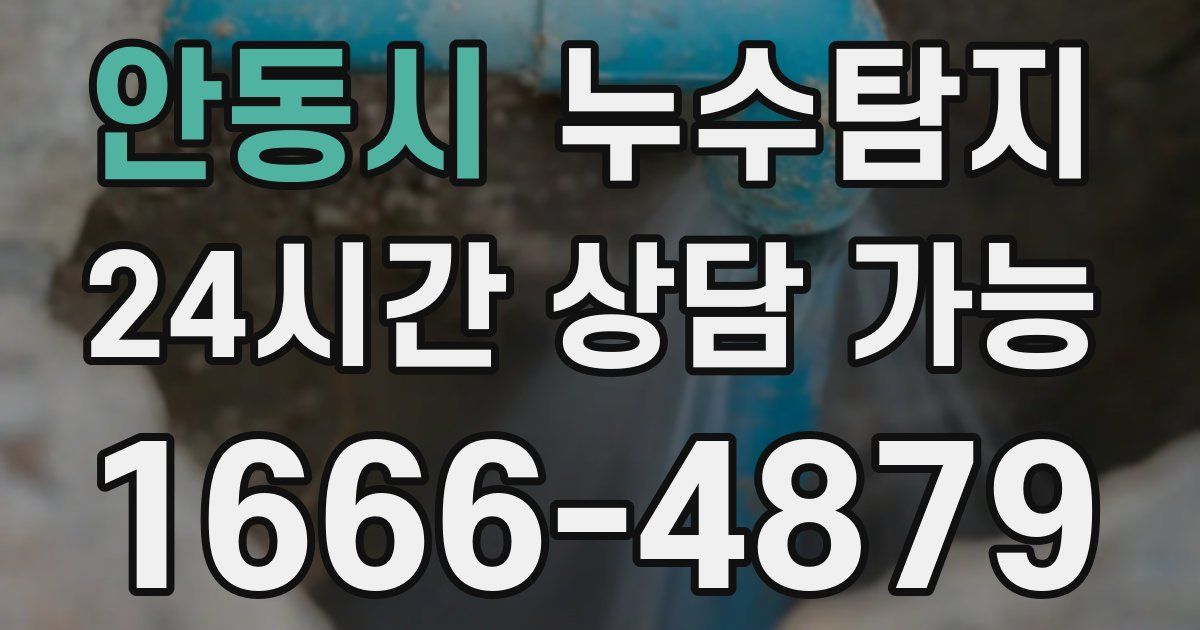 안동시 누수