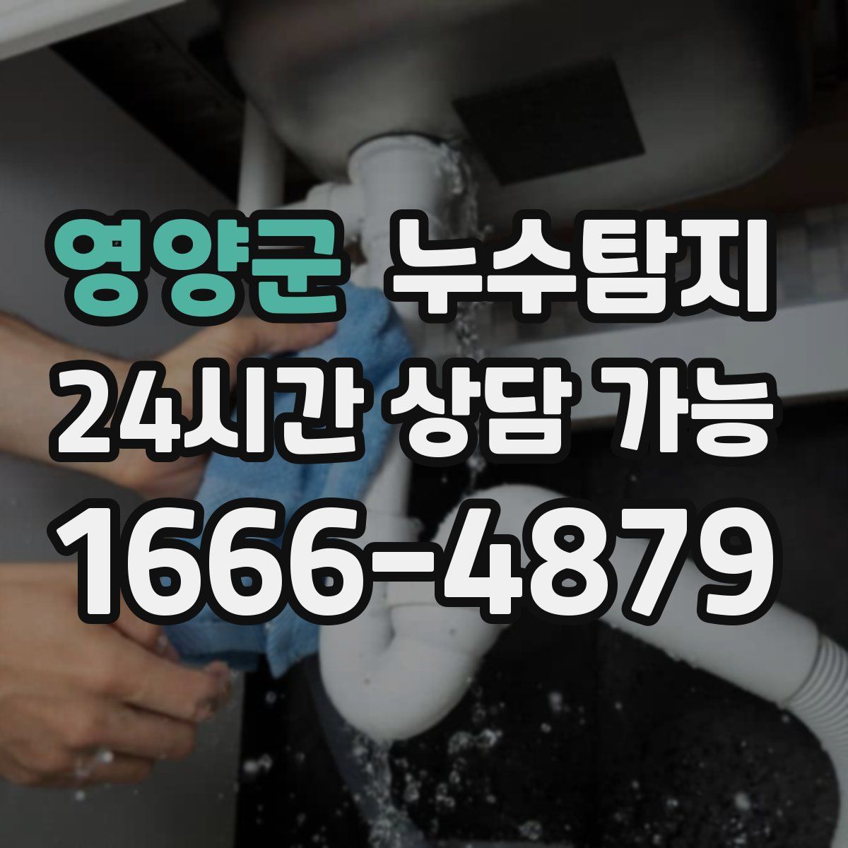 영양군 누수탐지