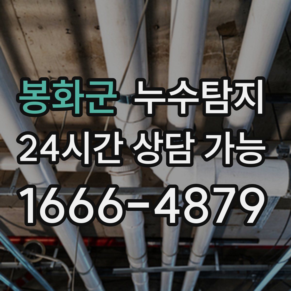 봉화군 누수탐지