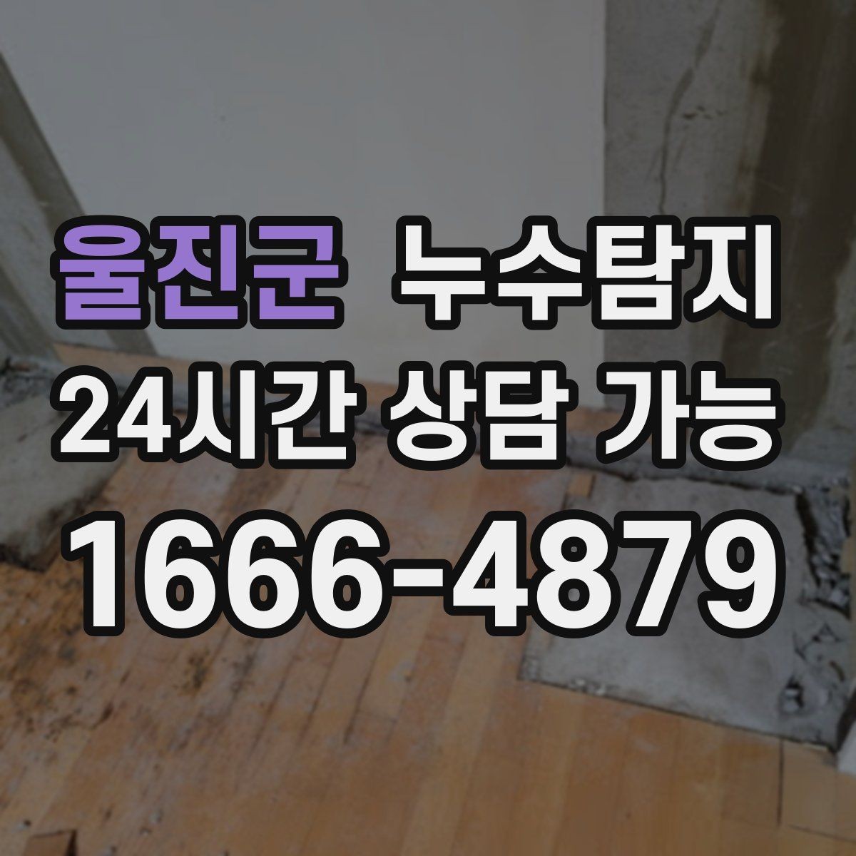 울진군 누수탐지 외벽 침투수 초기 대응 기록