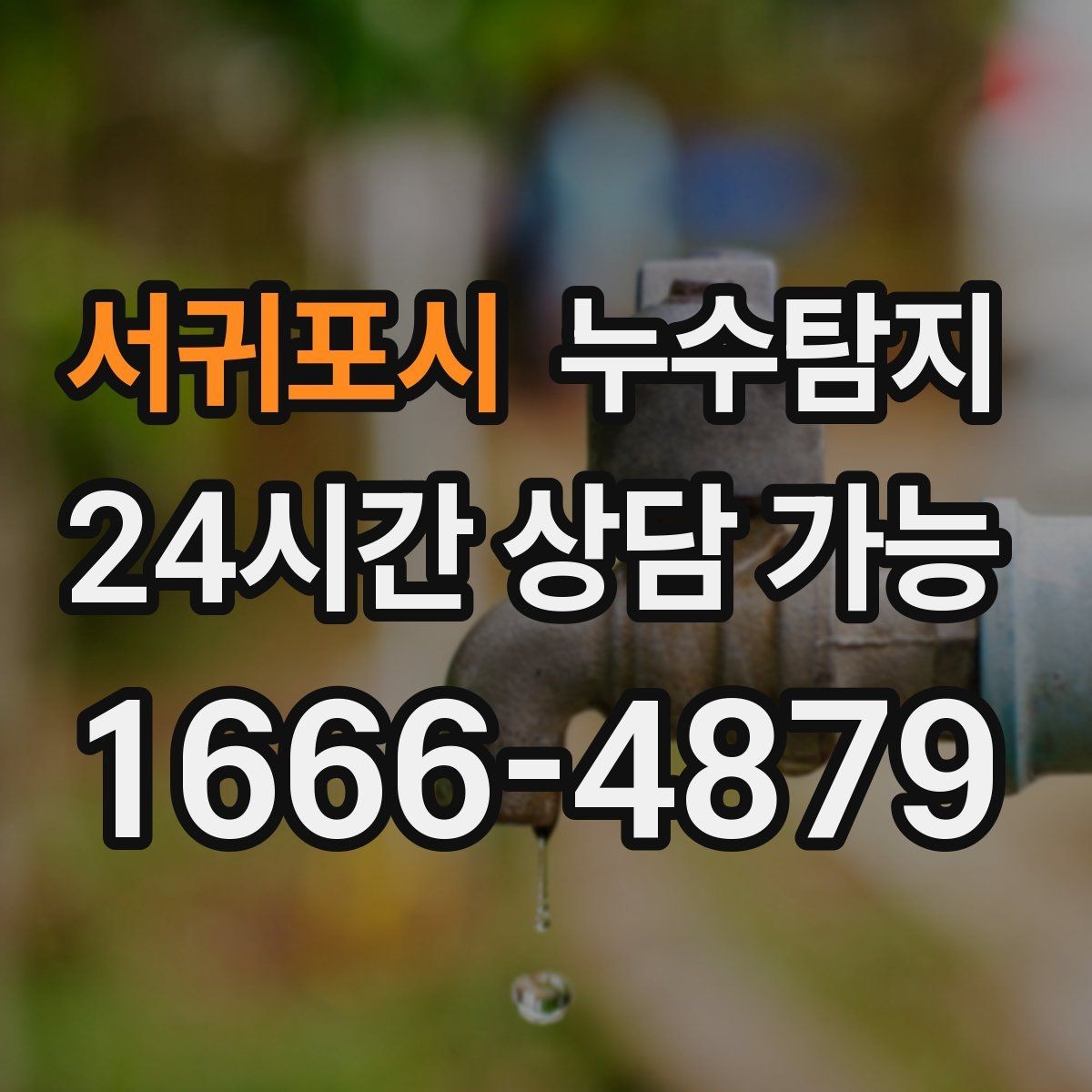 서귀포시 누수탐지 전문 진단 서비스