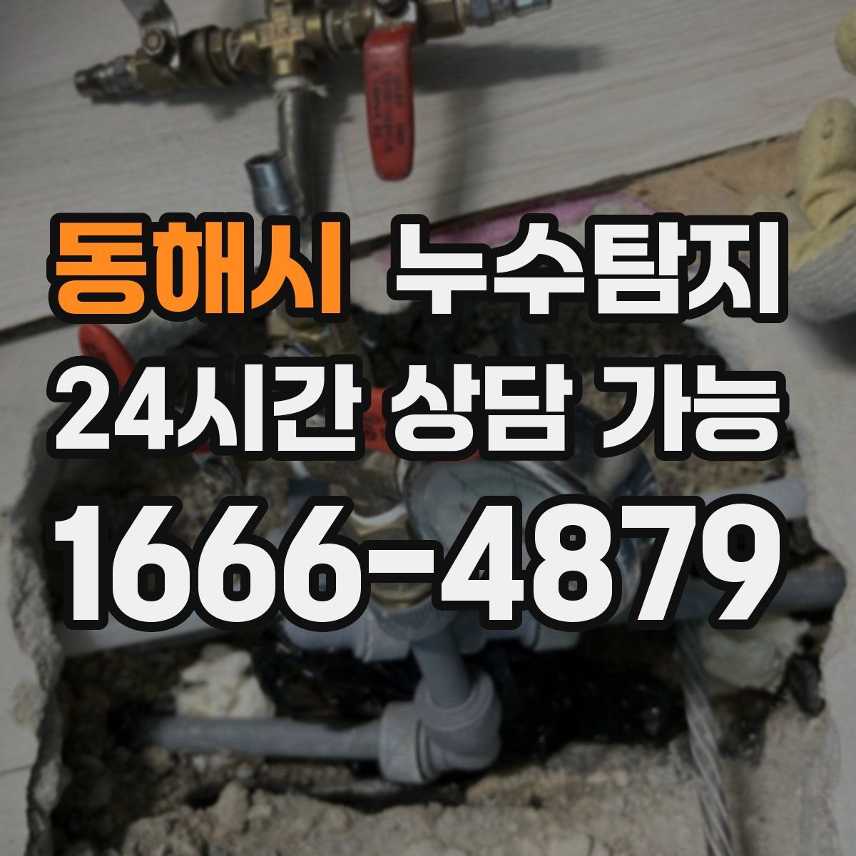 동해시 누수탐지