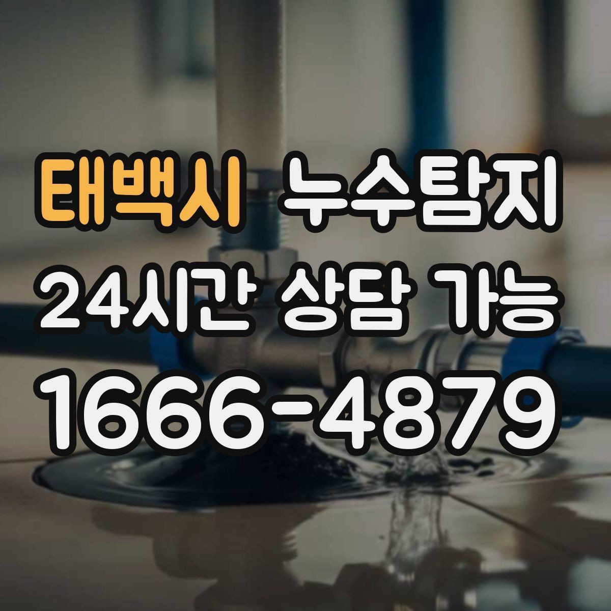 태백시 누수탐지 감춰진 누수 정확한 진단으로 신속하게 해결해드립니다