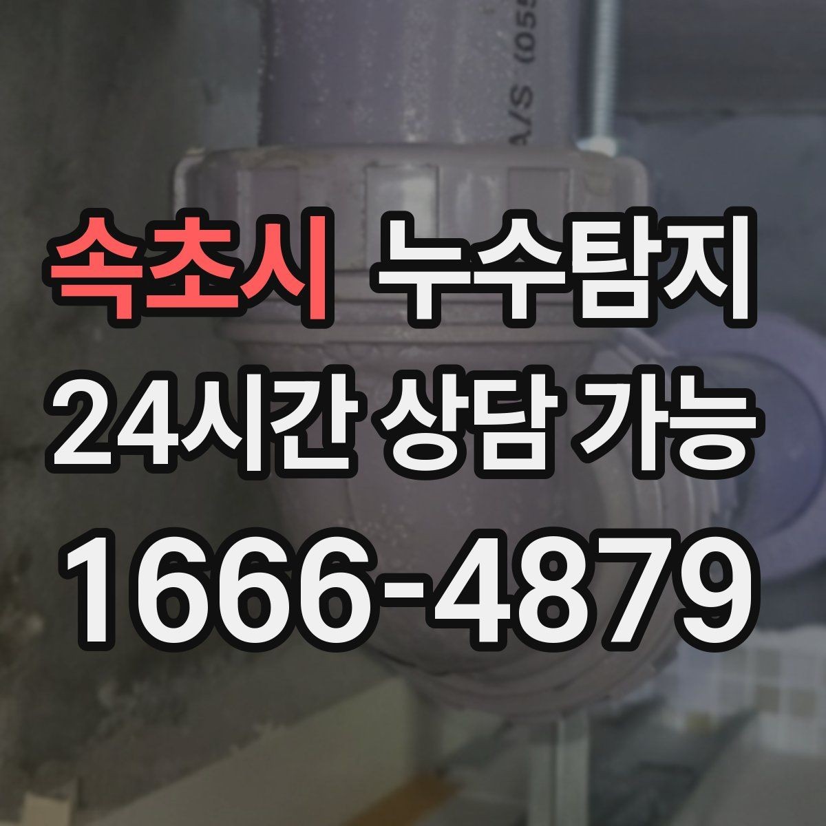 속초시 누수탐지 욕실 주방 배관 누수 점검