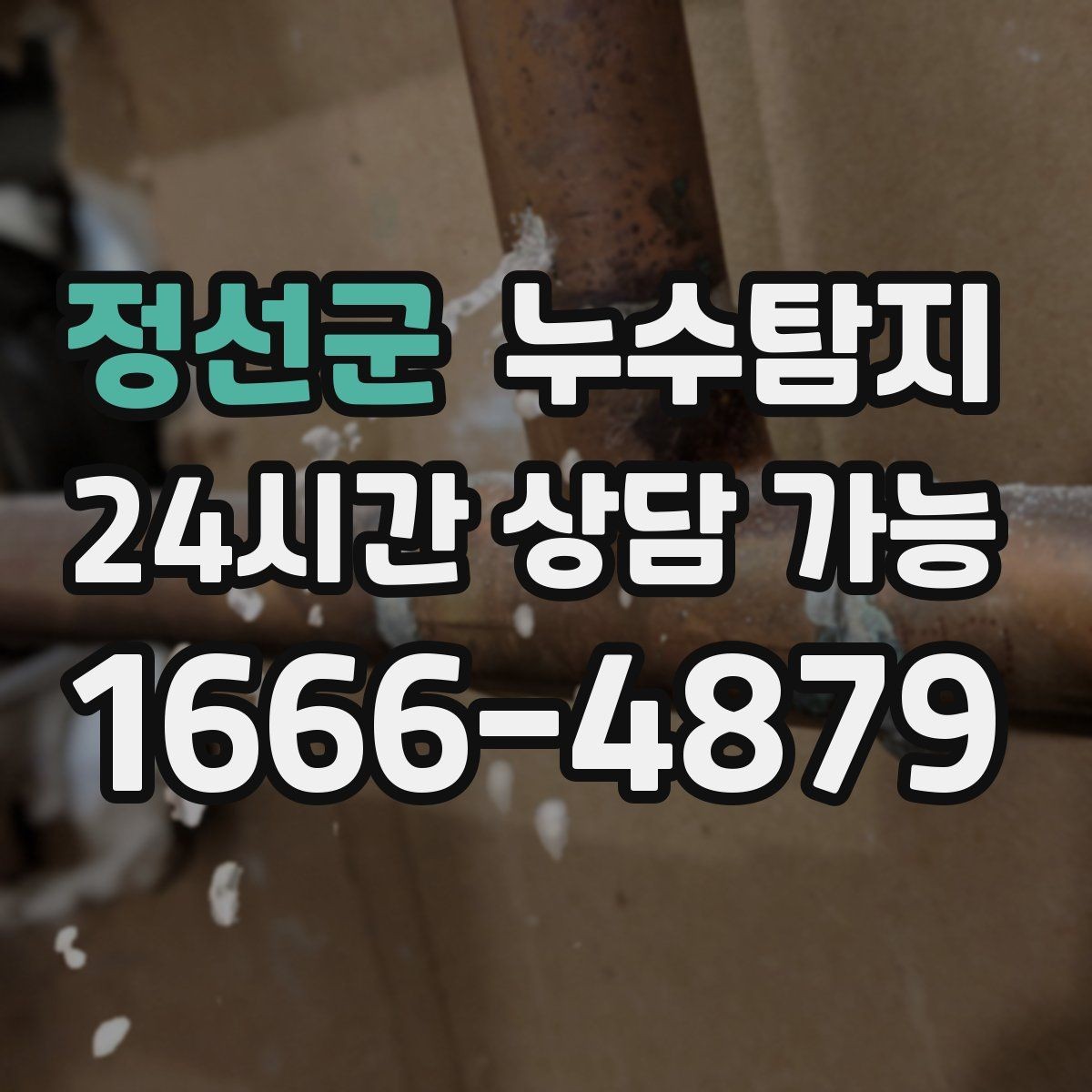 정선군 누수탐지 열화상 청음 정밀 점검