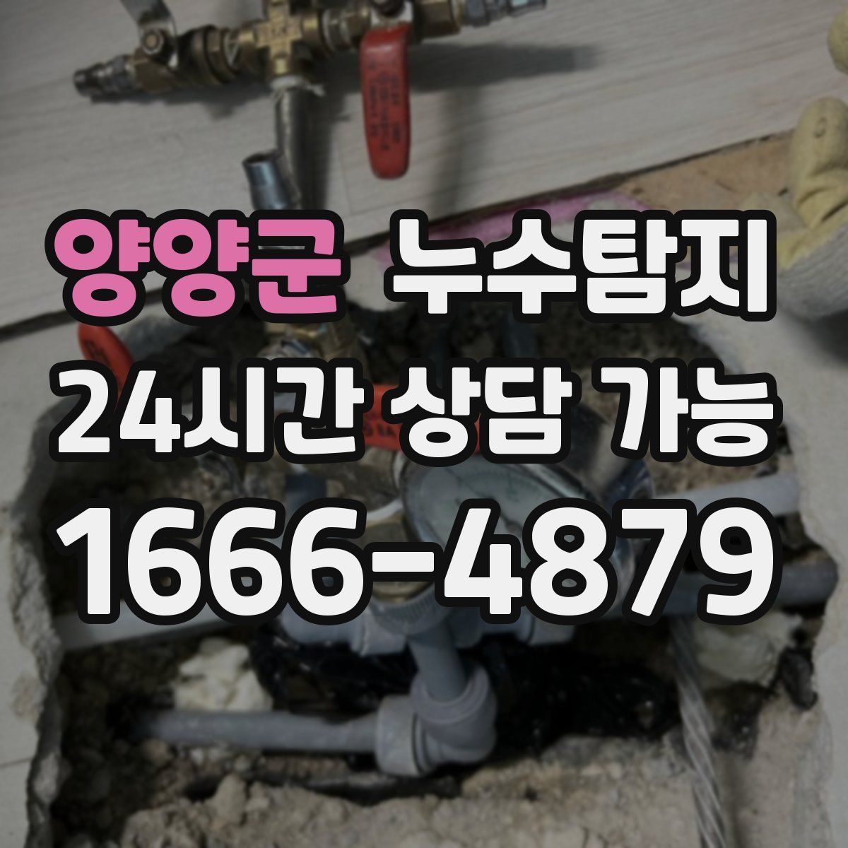 양양군 누수탐지