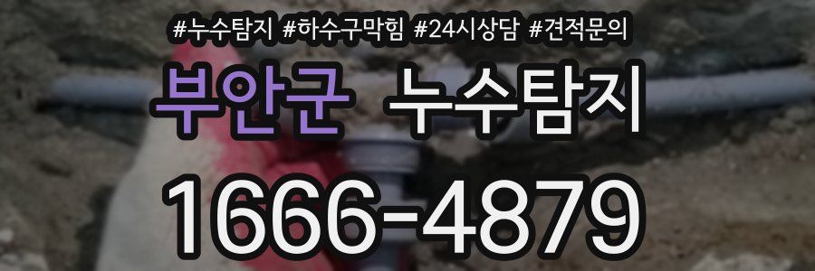 누수탐지