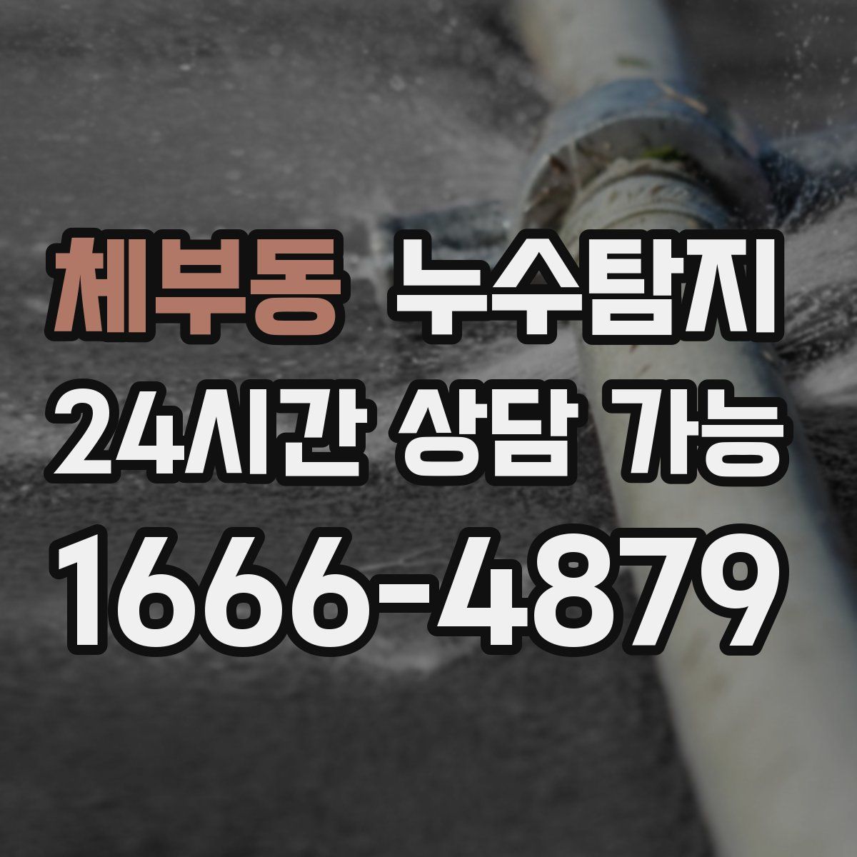 체부동 누수탐지