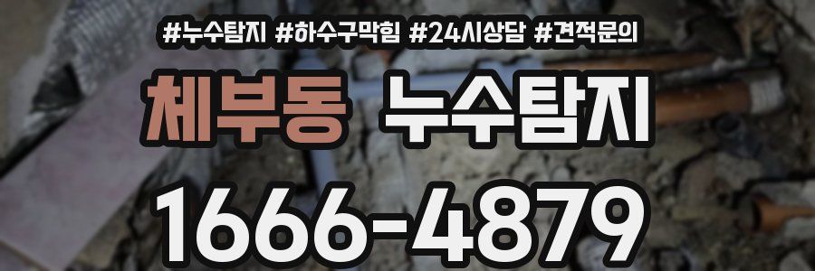 누수탐지