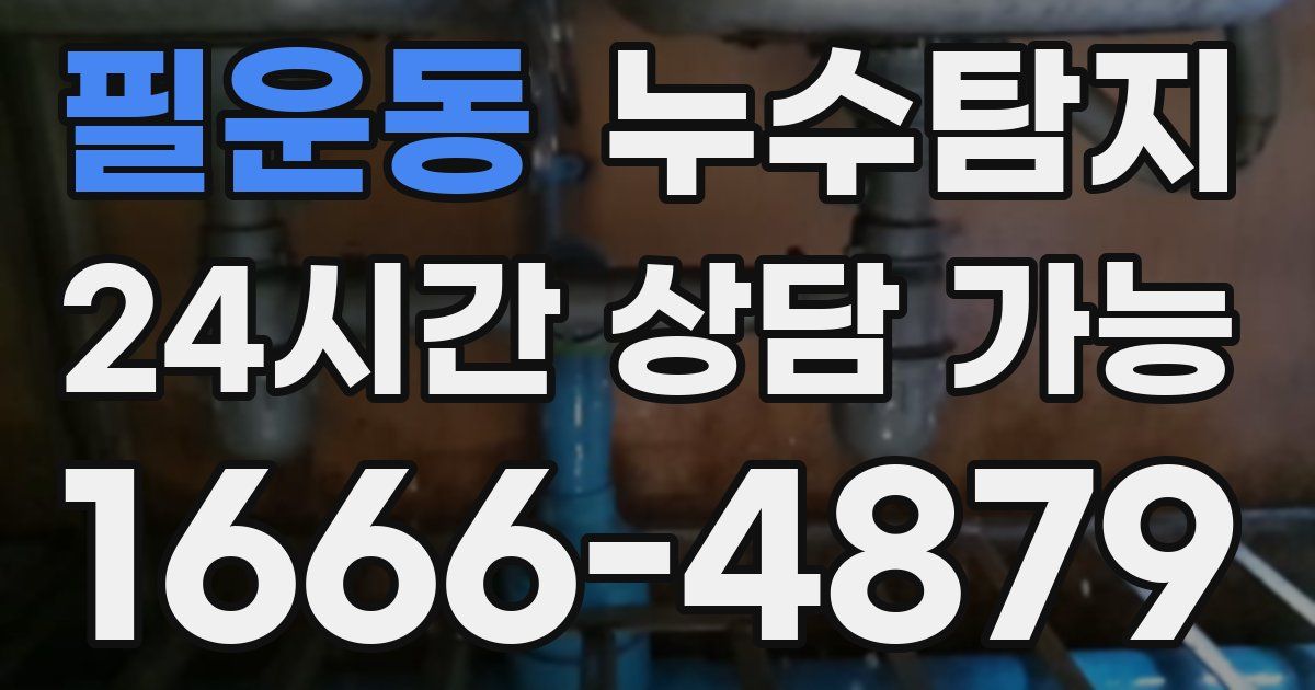 필운동 누수