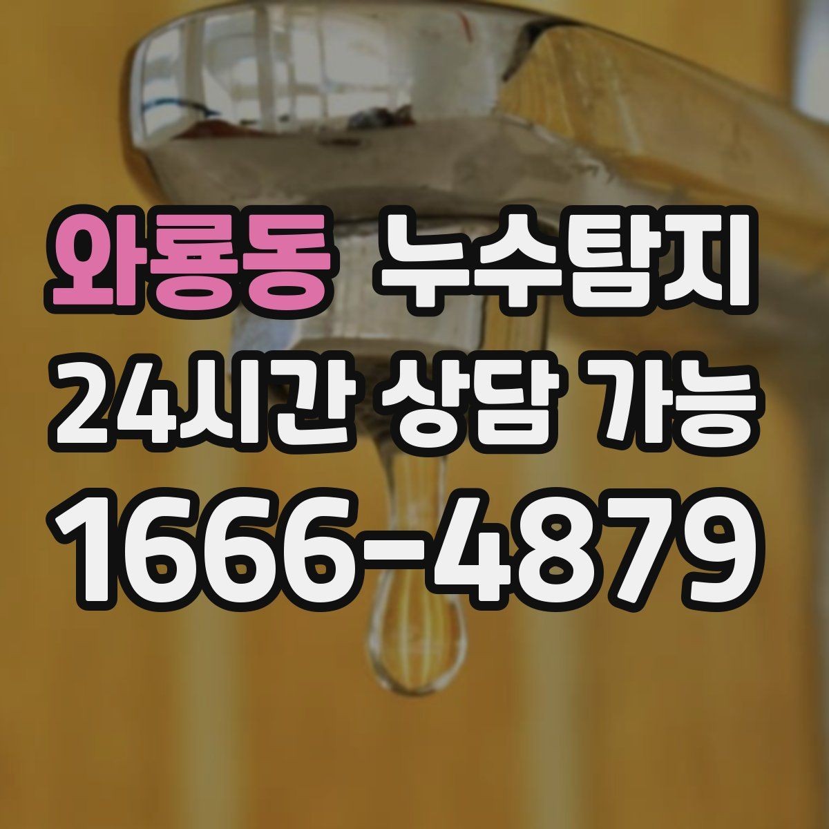 와룡동 누수탐지 관리사무소와 협의한 과정 기록