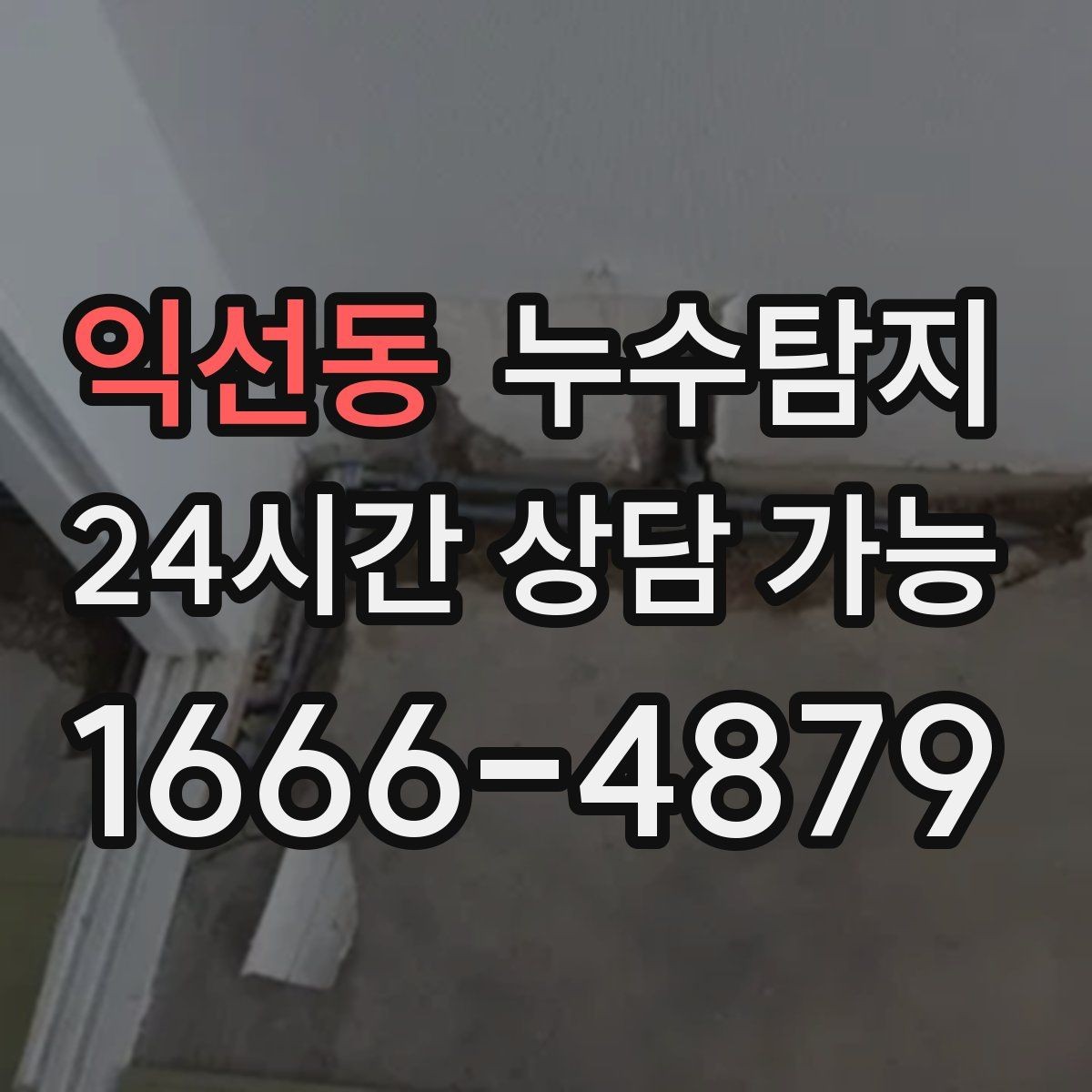 익선동 누수탐지 전문 진단 서비스