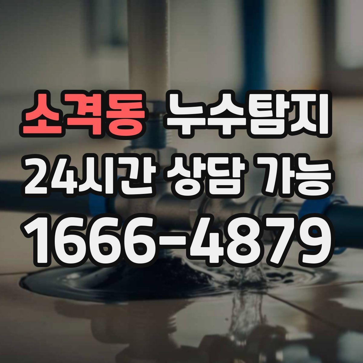 소격동 누수탐지 방수층 손상 진단에서 복구까지