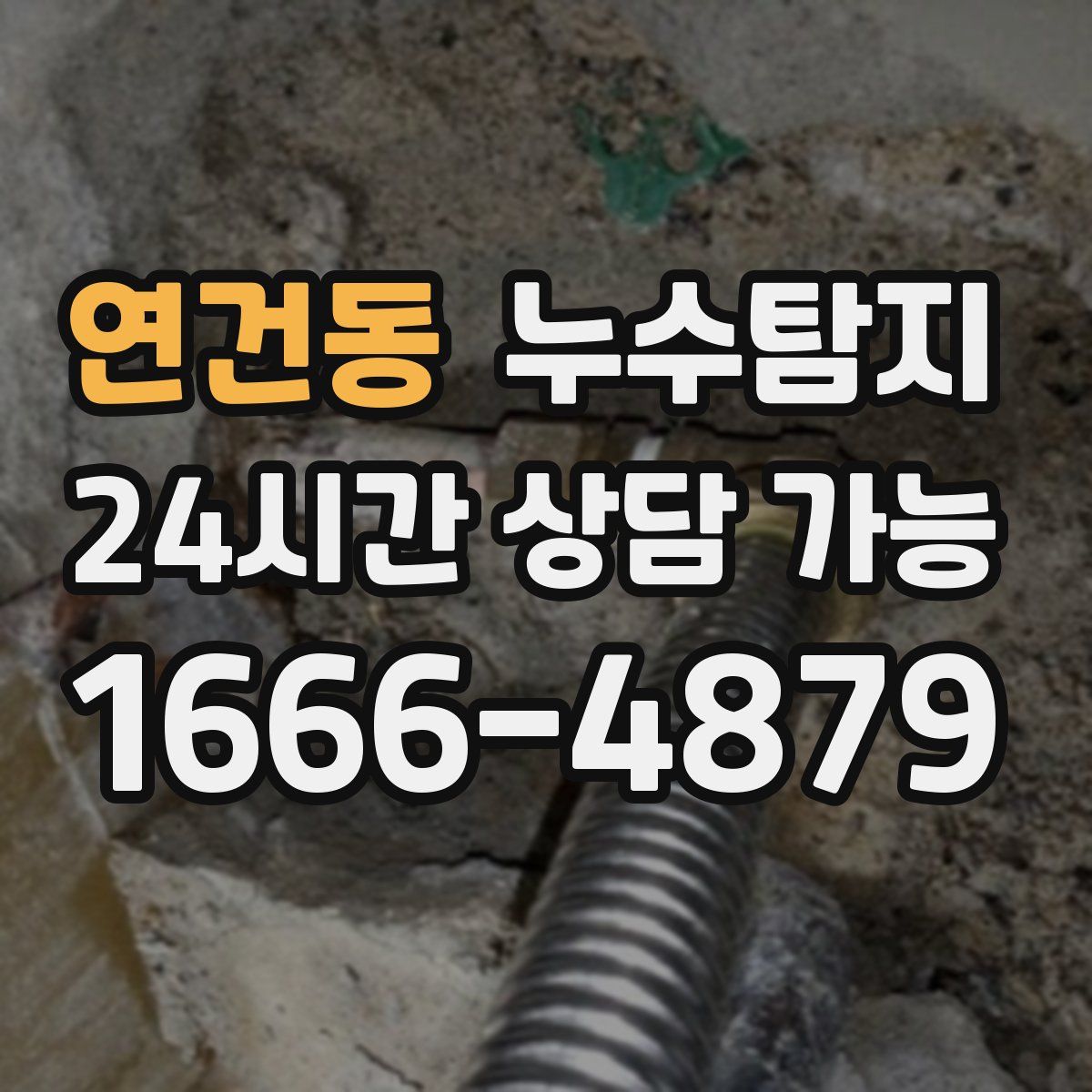연건동 누수탐지