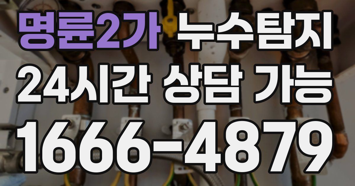 명륜2가 누수