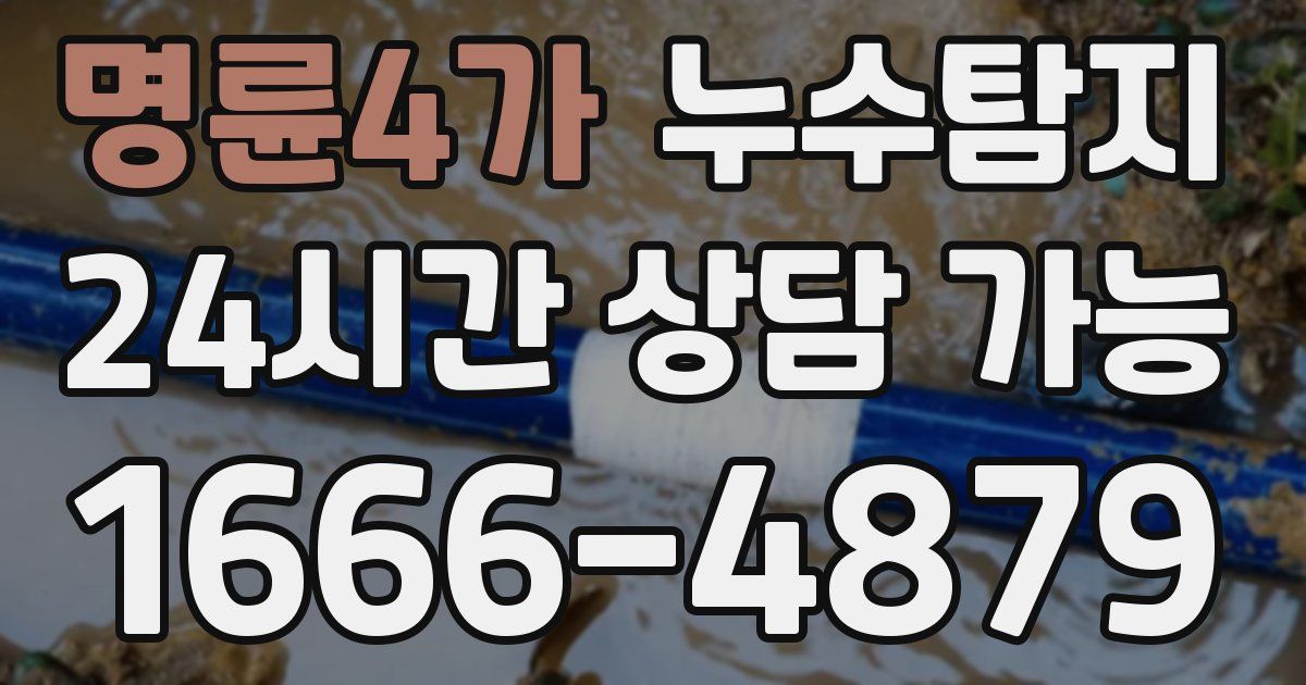 명륜4가 누수