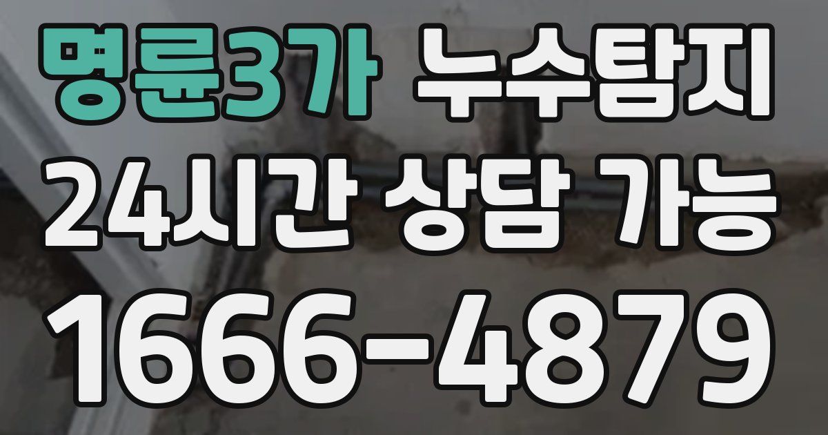 명륜3가 누수