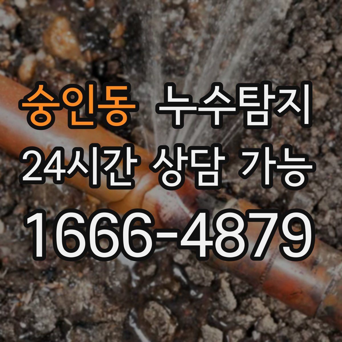 숭인동 누수탐지 예약 즉시 방문 가능 지역