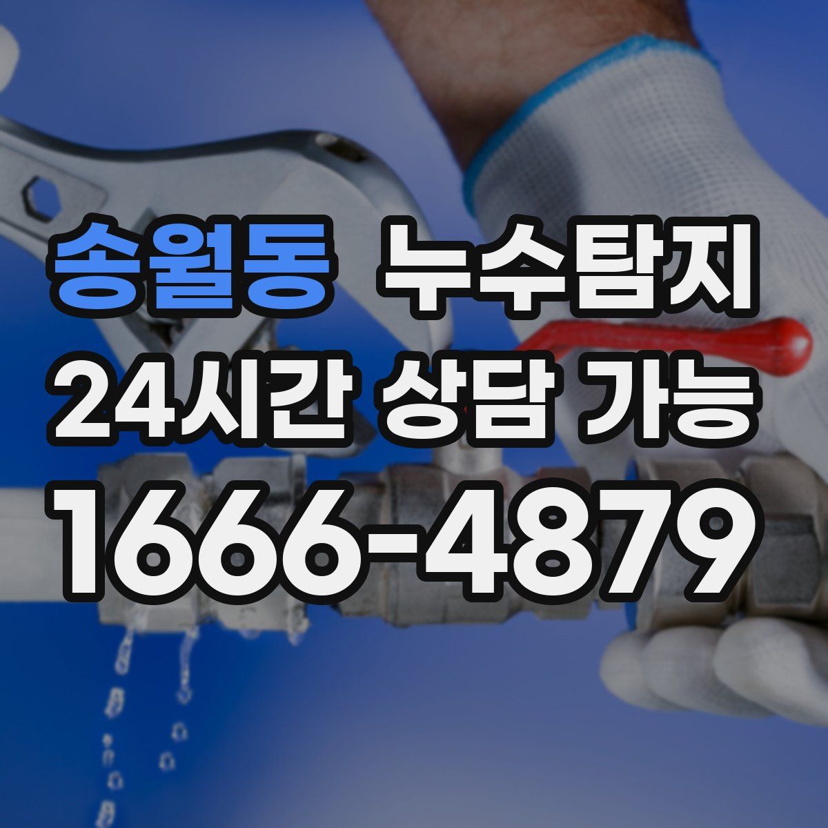 송월동 누수탐지