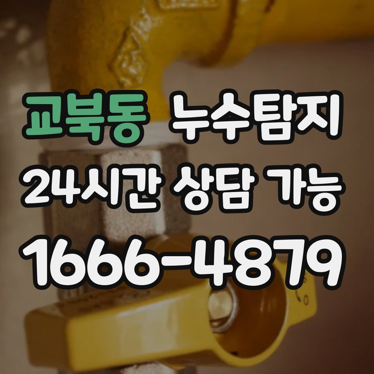 교북동 누수탐지 공사 후 재발을 막는 사후 관리