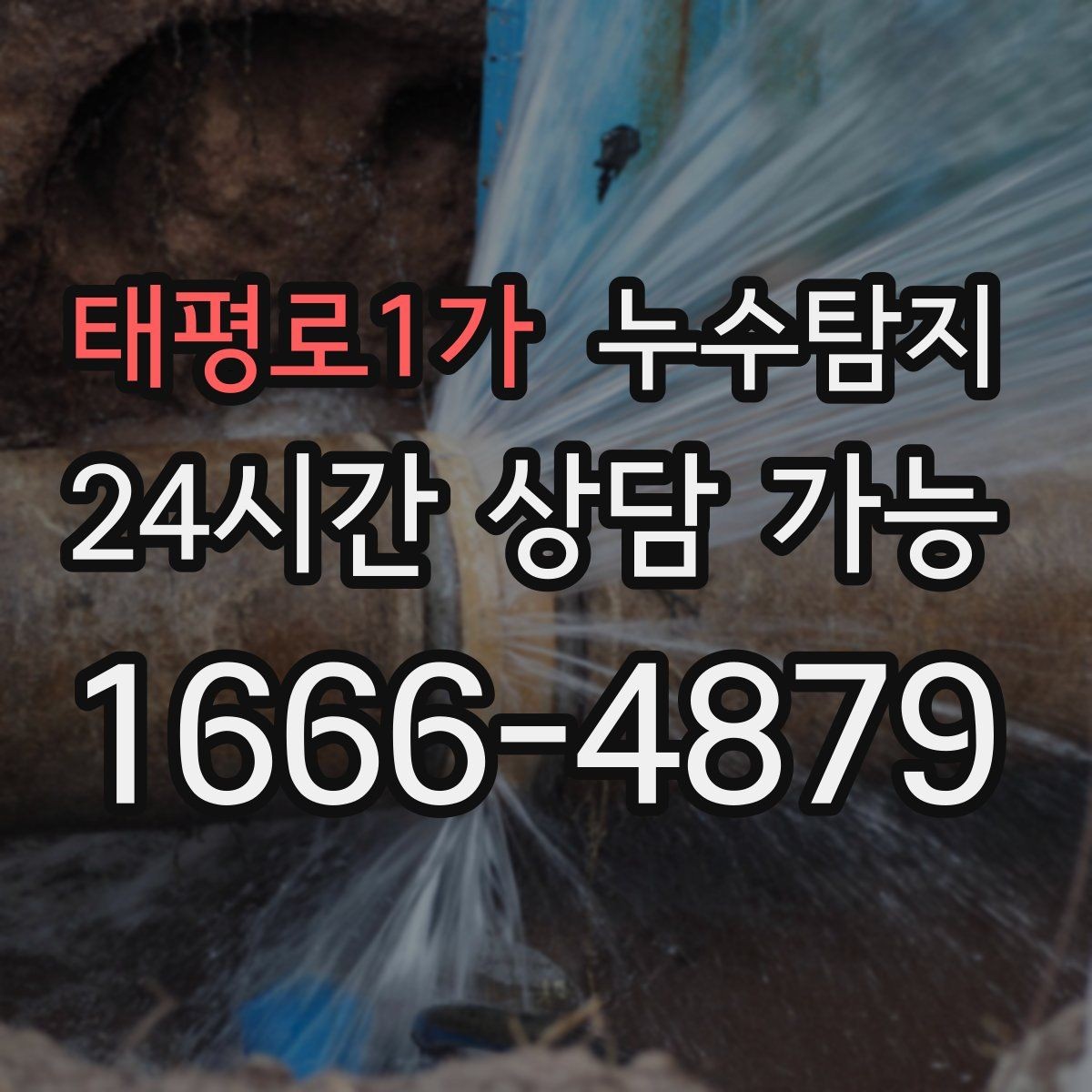 태평로1가 누수탐지 방문 가능 지역 예약 팁 공유