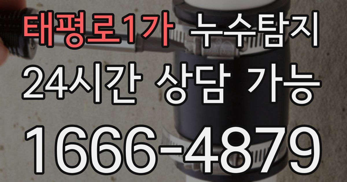 태평로1가 누수