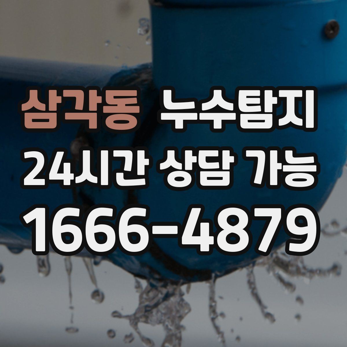 삼각동 누수탐지 합리적인 비용으로 문제를 해결하세요