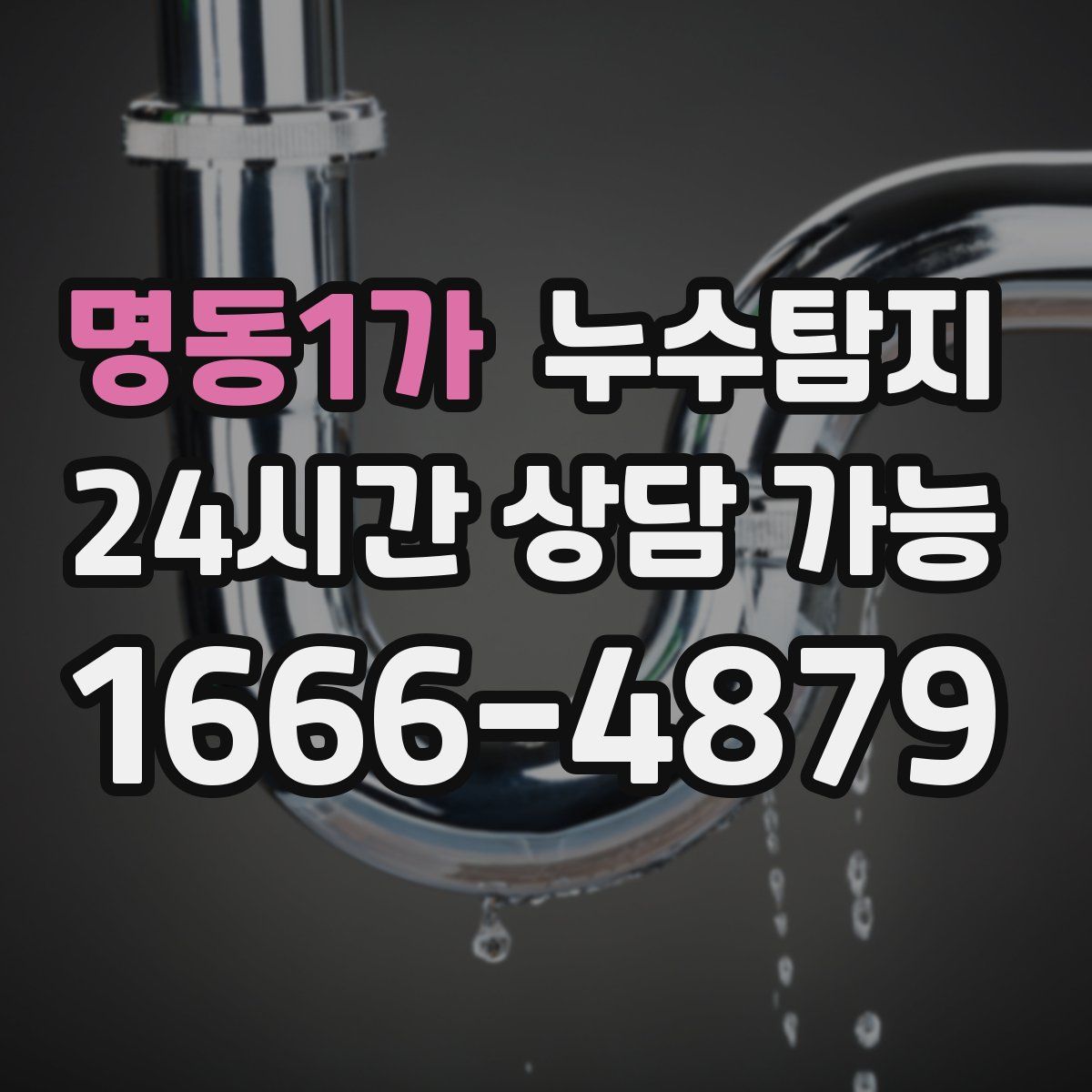 명동1가 누수탐지