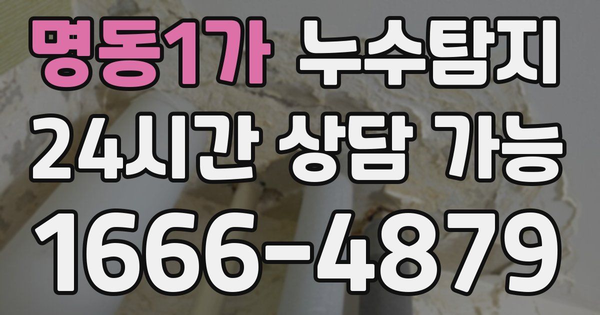 명동1가 누수