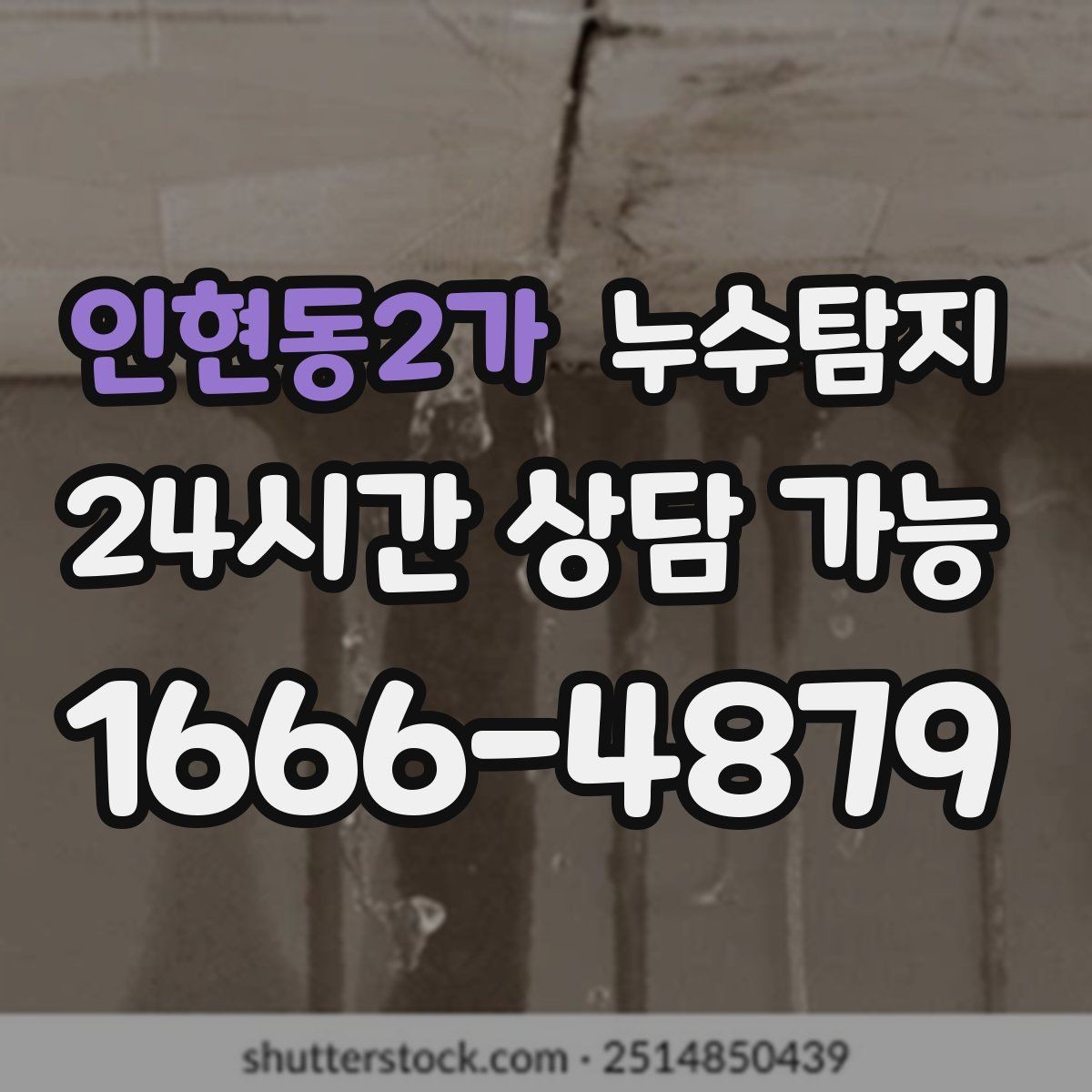 인현동2가 누수탐지 드레스룸 곰팡이 없앤 하루
