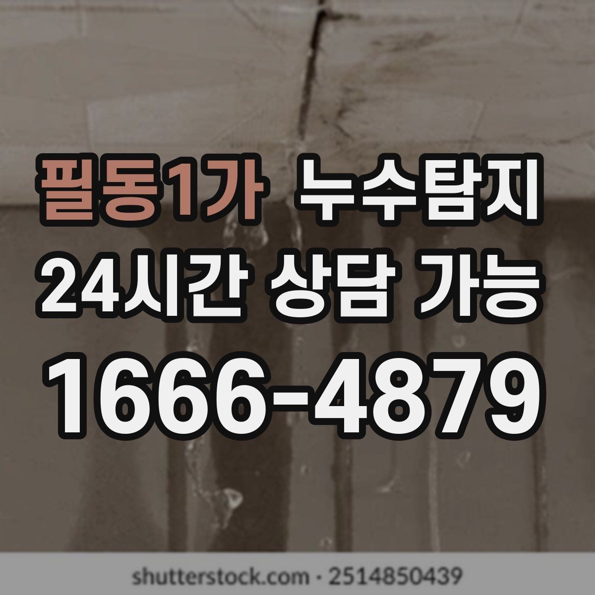 필동1가 누수탐지 이사 앞두고 실시한 안심 점검