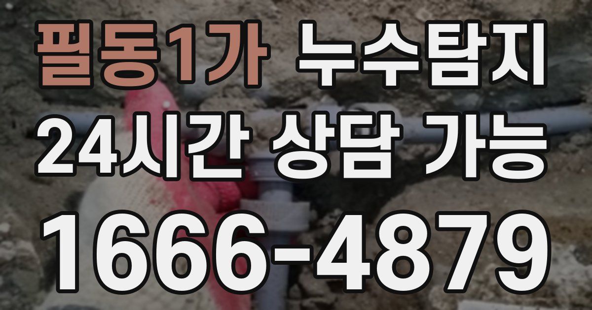 필동1가 누수