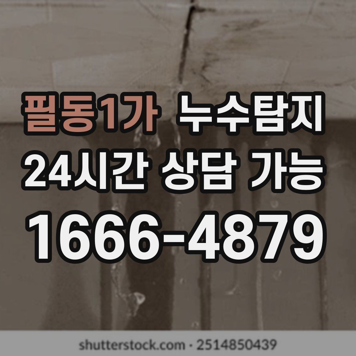 필동1가 누수탐지