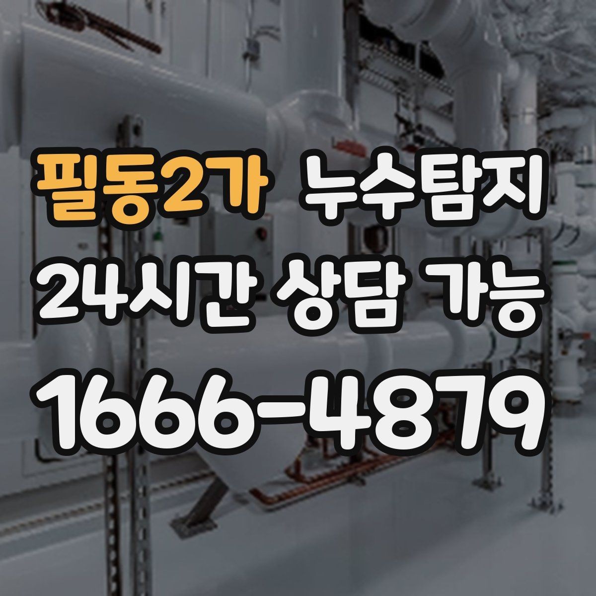 필동2가 누수탐지 방수층 손상 진단에서 복구까지