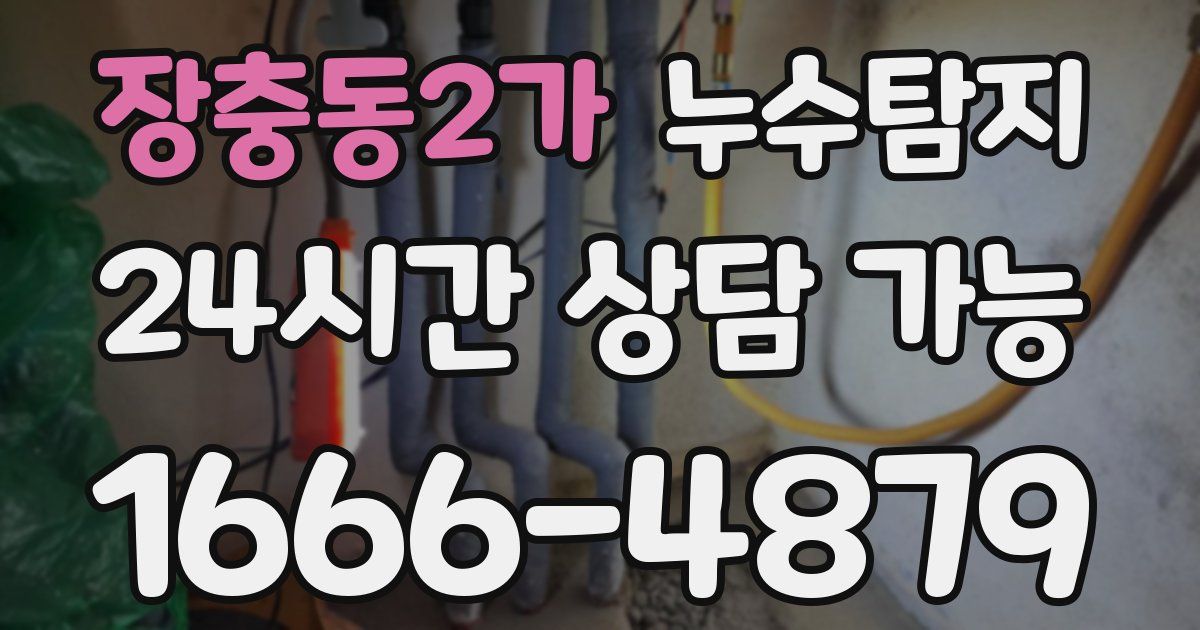 장충동2가 누수