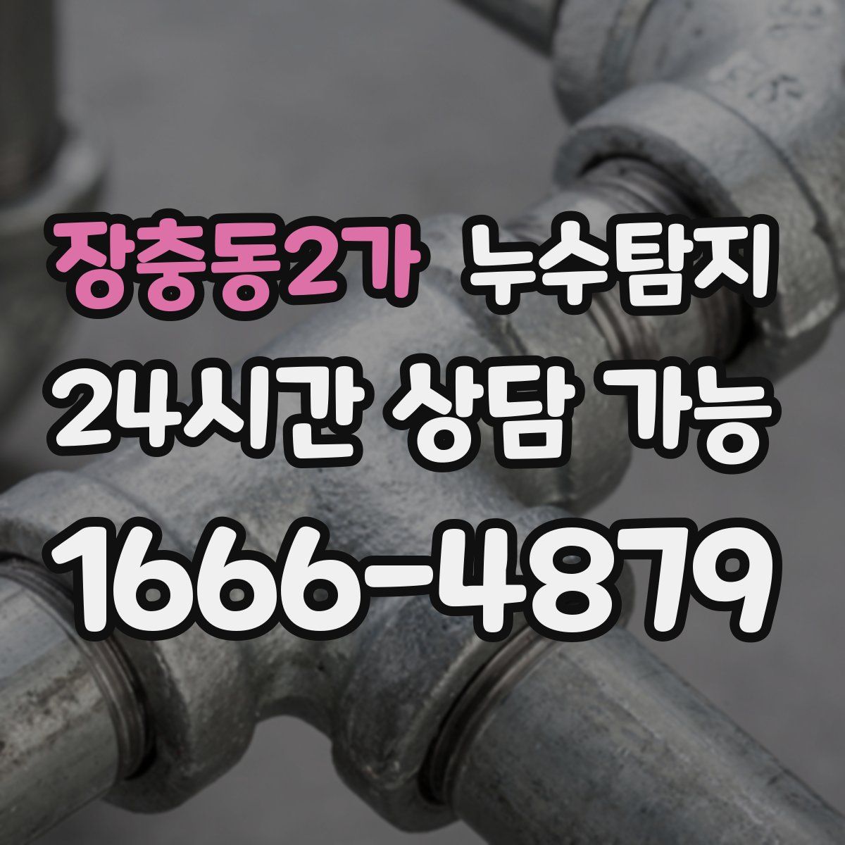 장충동2가 누수탐지