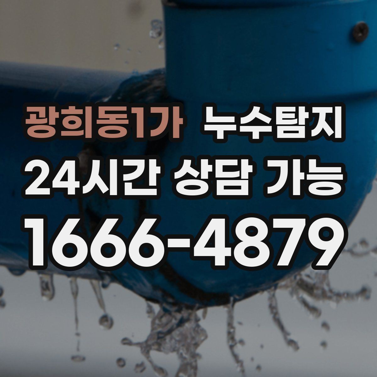 광희동1가 누수탐지 아파트 빌라 전문 진단