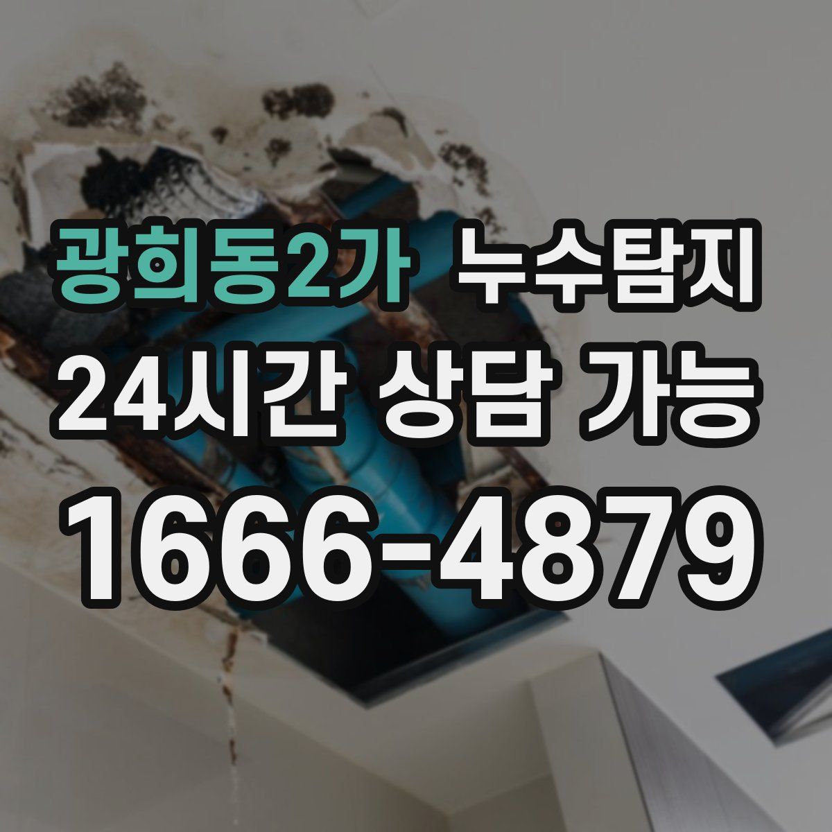 광희동2가 누수탐지