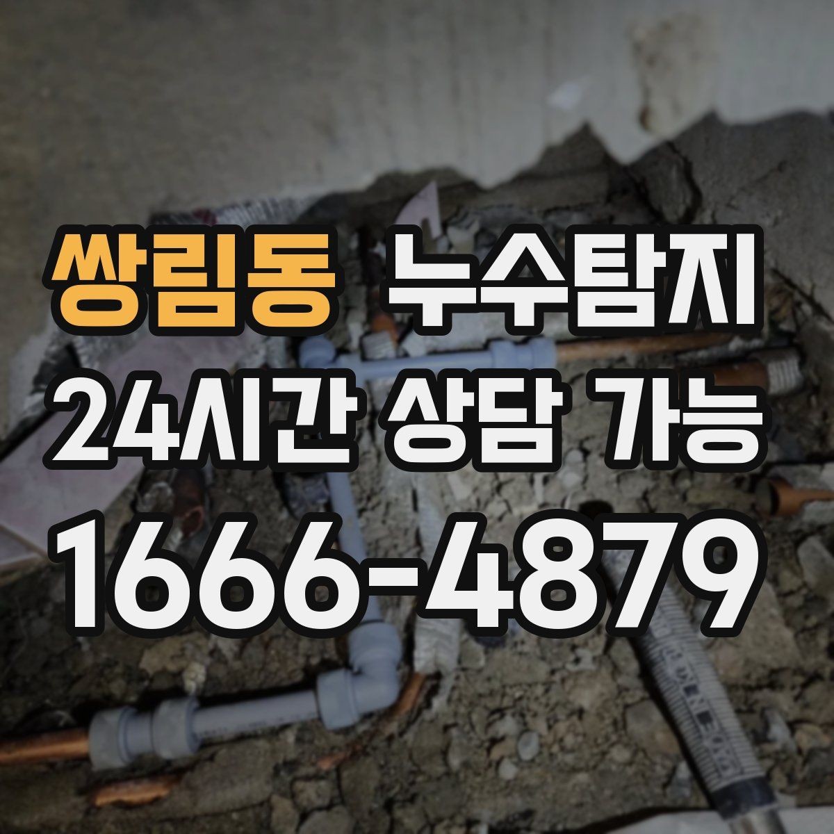 쌍림동 누수탐지 반려가정 배려 점검 후기