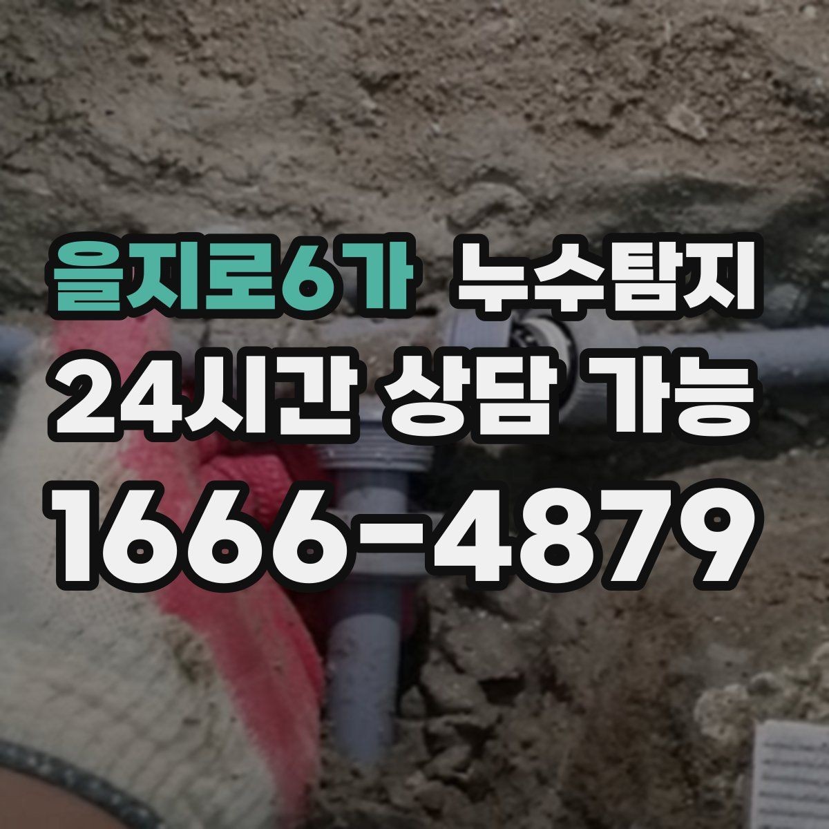 을지로6가 누수탐지 반려가정 배려 점검 후기