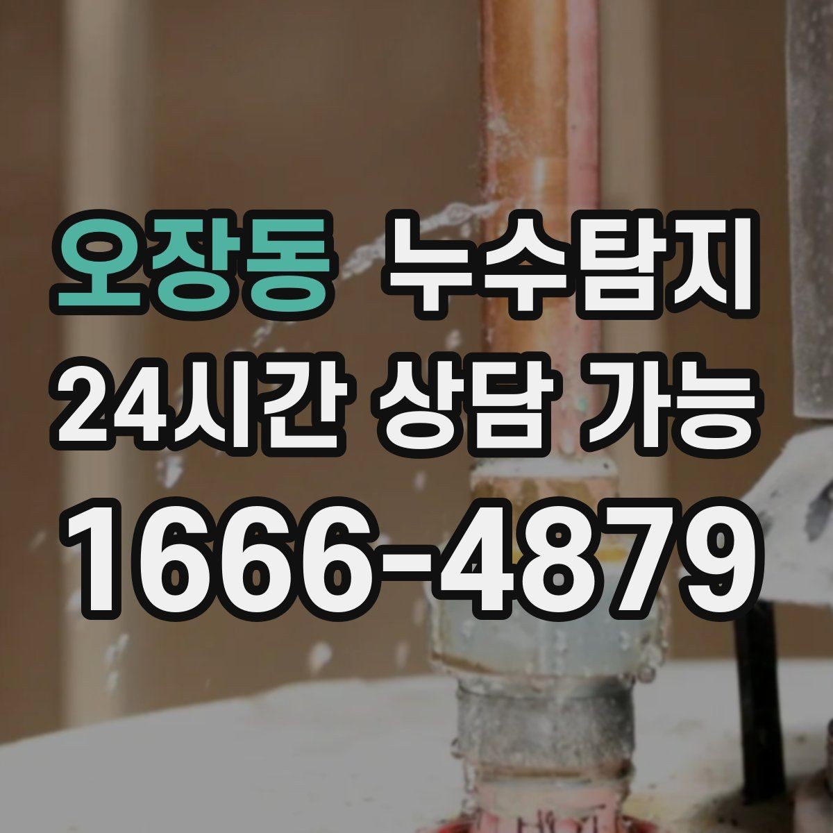 오장동 누수탐지 예약부터 복구까지 일정 관리