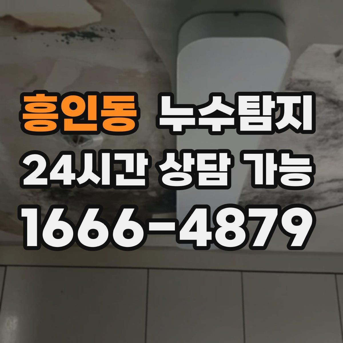 흥인동 누수탐지 반지하 습기 문제 해결기