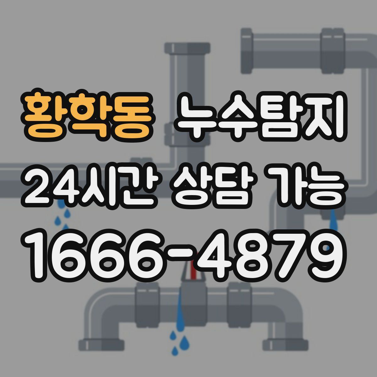 황학동 누수탐지