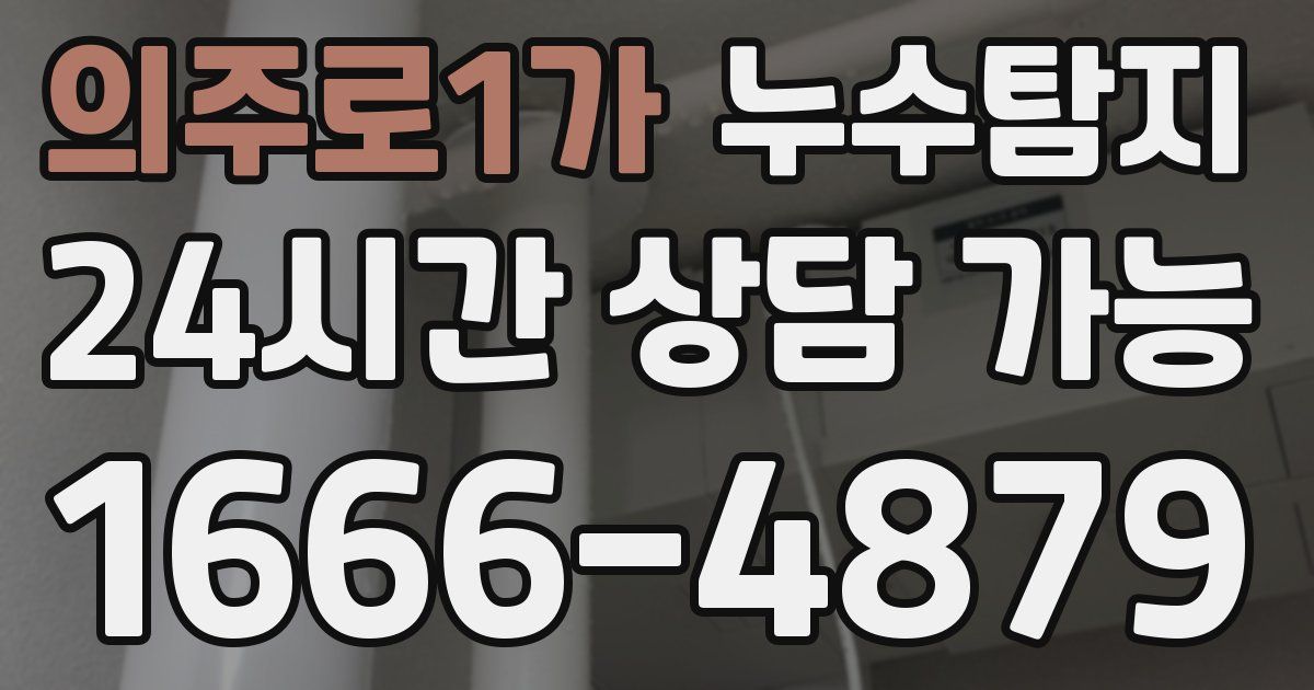 의주로1가 누수