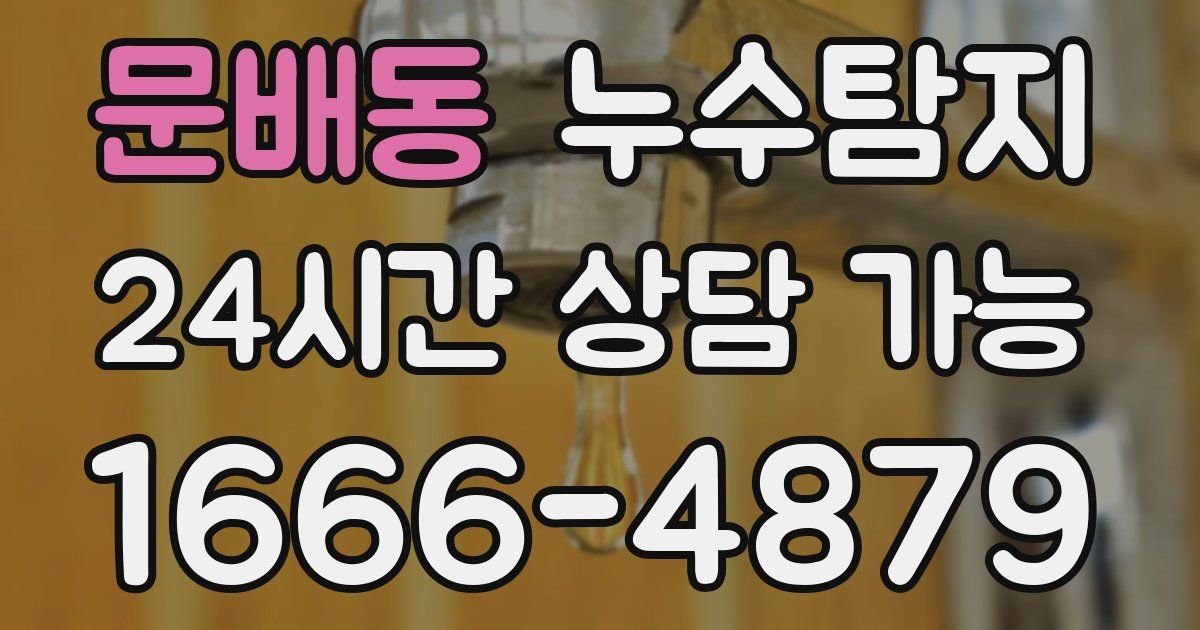문배동 누수